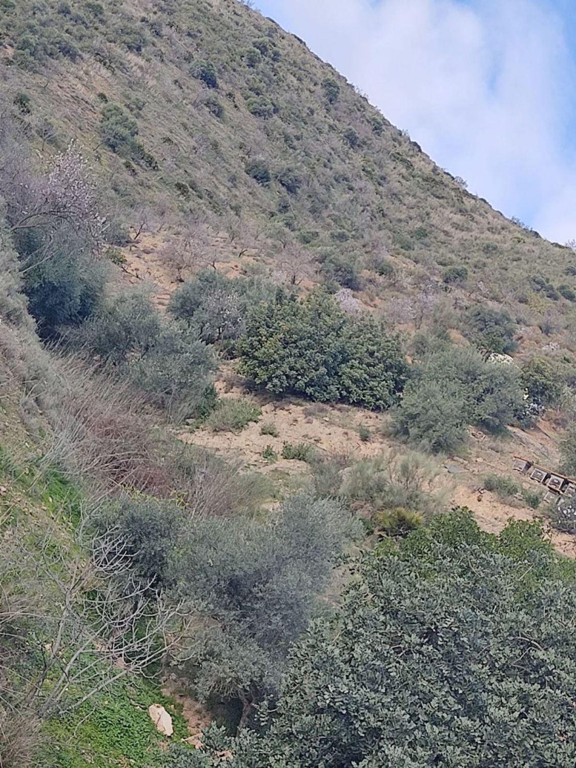 Costa del Sol, Cártama