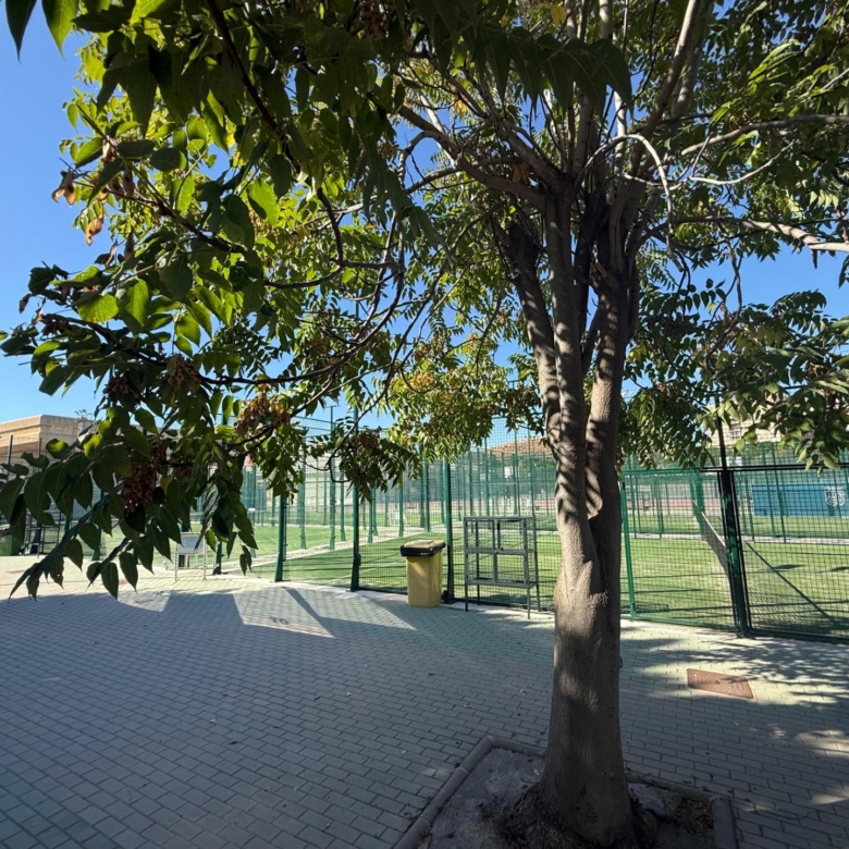 Dúplex en Ciudad Jardín con licencia turística.