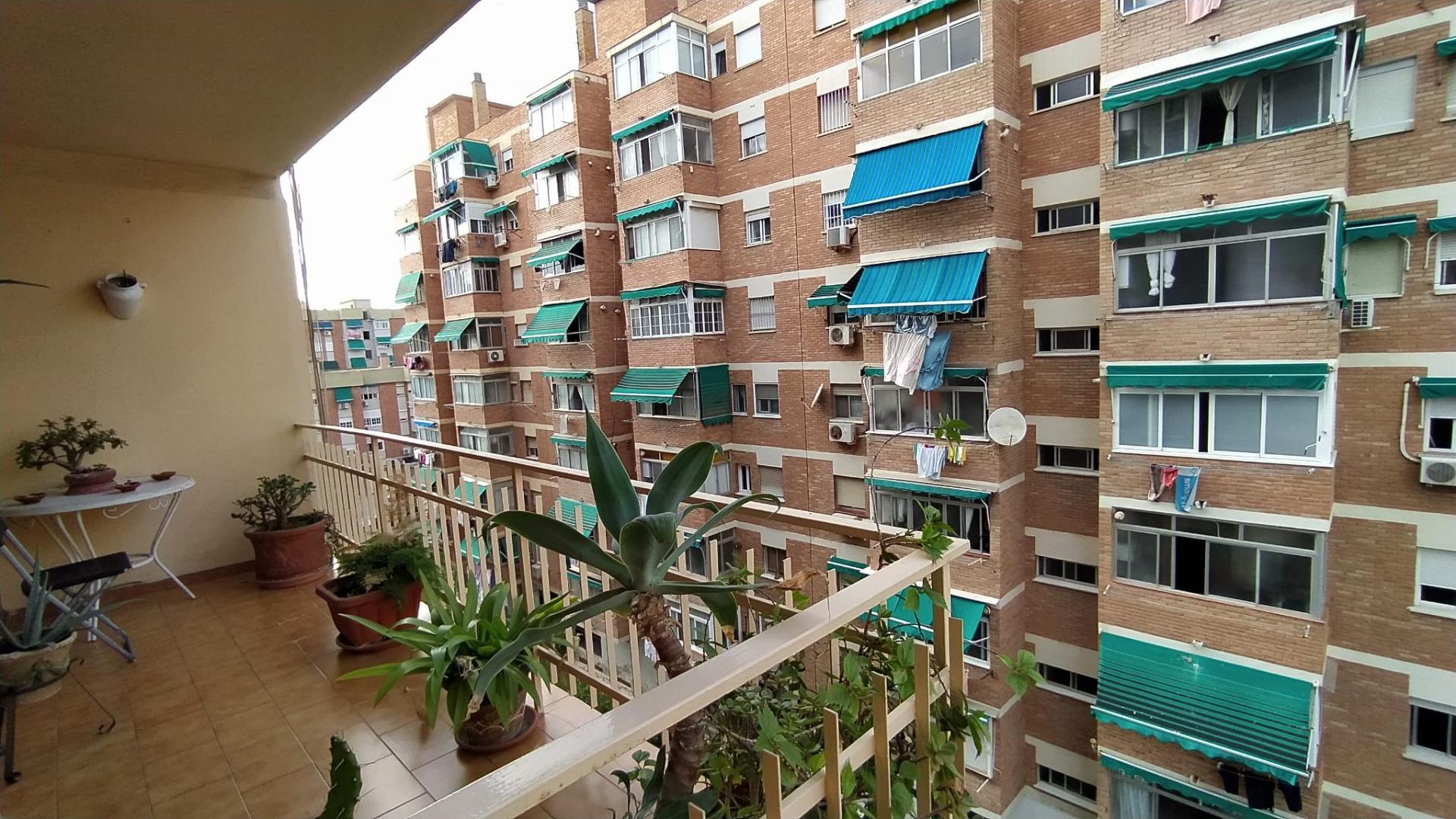 Ortega y Gasset, Málaga