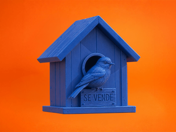 Casa en venta en primavera con pájaro azul sobre fondo naranja en Málaga