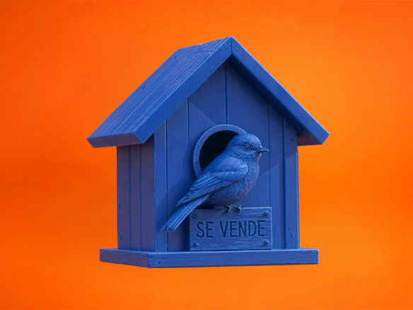 Casa en venta en primavera con pájaro azul sobre fondo naranja en Málaga